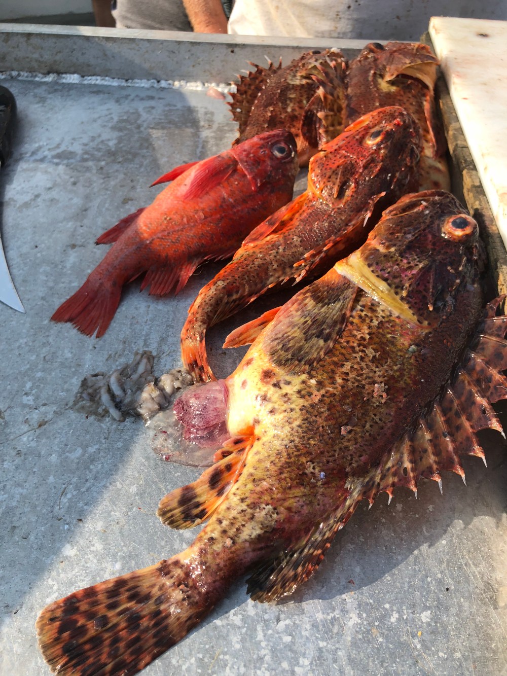 20E5E5DC-758A-4864-8178-A5BF508DC327